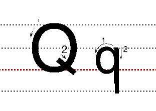 字母Qq的标准写法